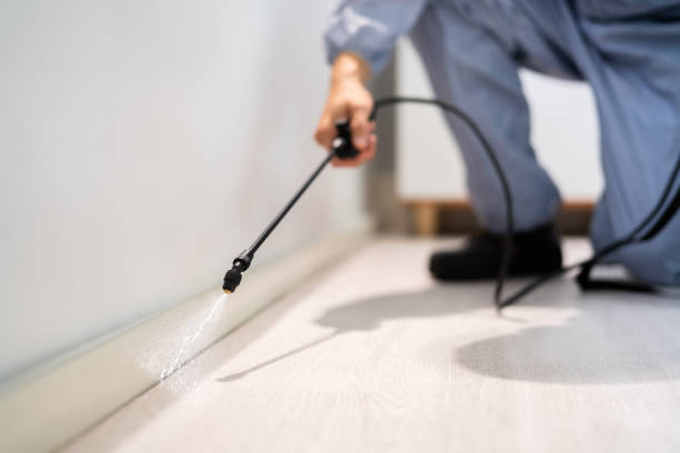 Licensed Rodent Control service in Wallace, NC - Nex Pest Control
