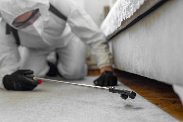 Professional Rodent Control technician working in Wallace, NC