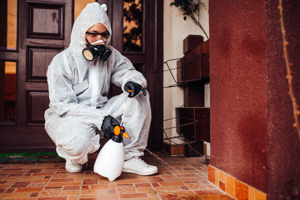 Reliable Rodent Control contractor in Wallace, NC by Nex Pest Control